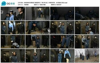 胜景影视 毒贩落网记 下集 两女犯二审维持原判，双双被执行枪决