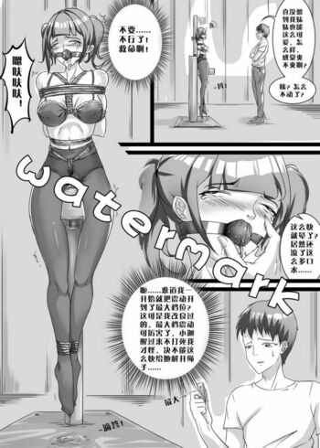 【shadow】《我的妹妹玩捆绑失误了？4》 17P